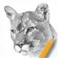 素描绘画入门教程 V2.1.3 安卓版