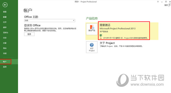 Project2013专业版