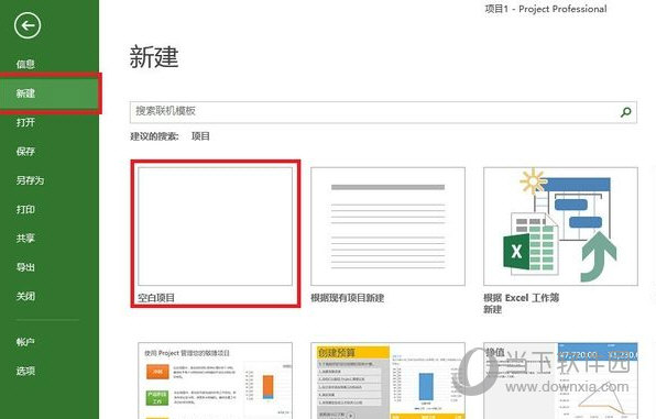 Project2013专业版