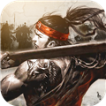 名将无双 V1.0 安卓版