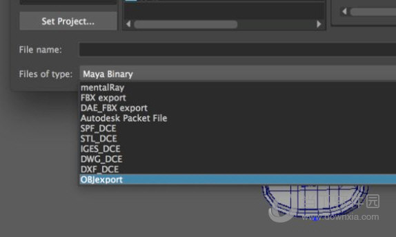 maya2018