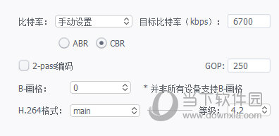 视频编码选项