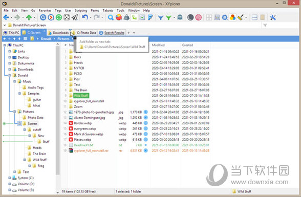 xyplorer pro