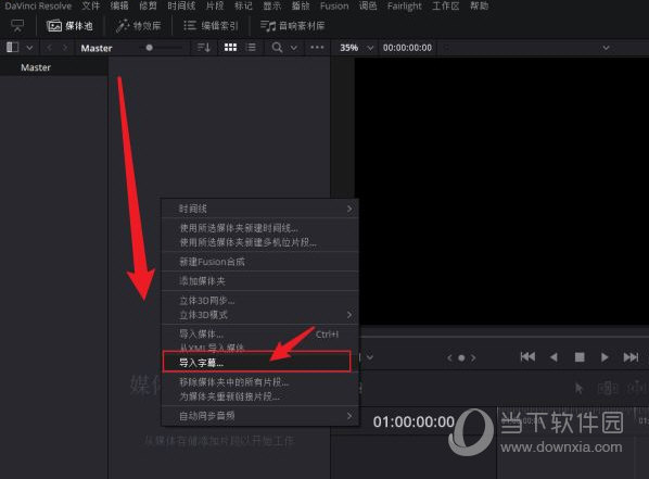 davinci resolve17中文版