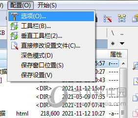 配置选项