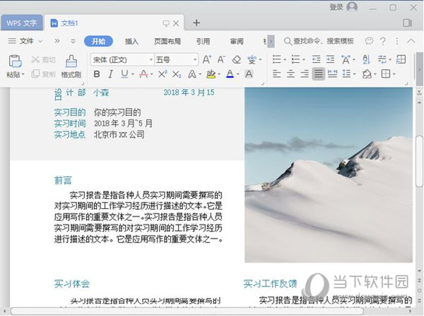 WPS Office 2019 Pro福禄娃专版