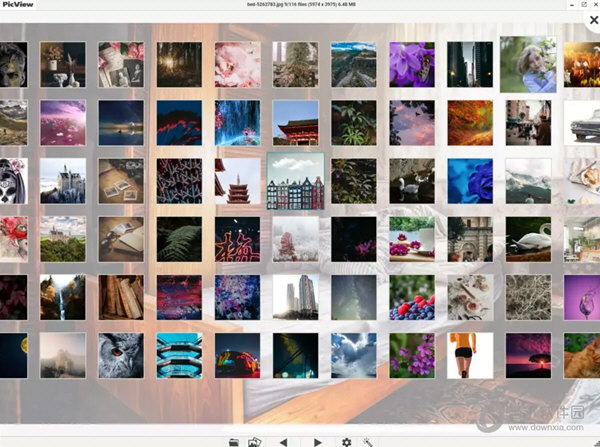 PicView图片浏览器
