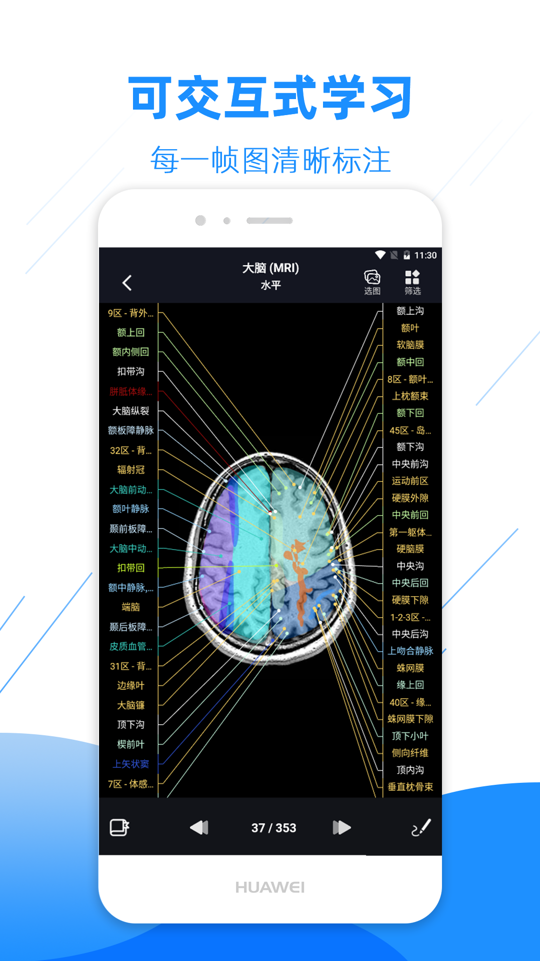 影像解剖图谱 V3.6.0 安卓版截图2