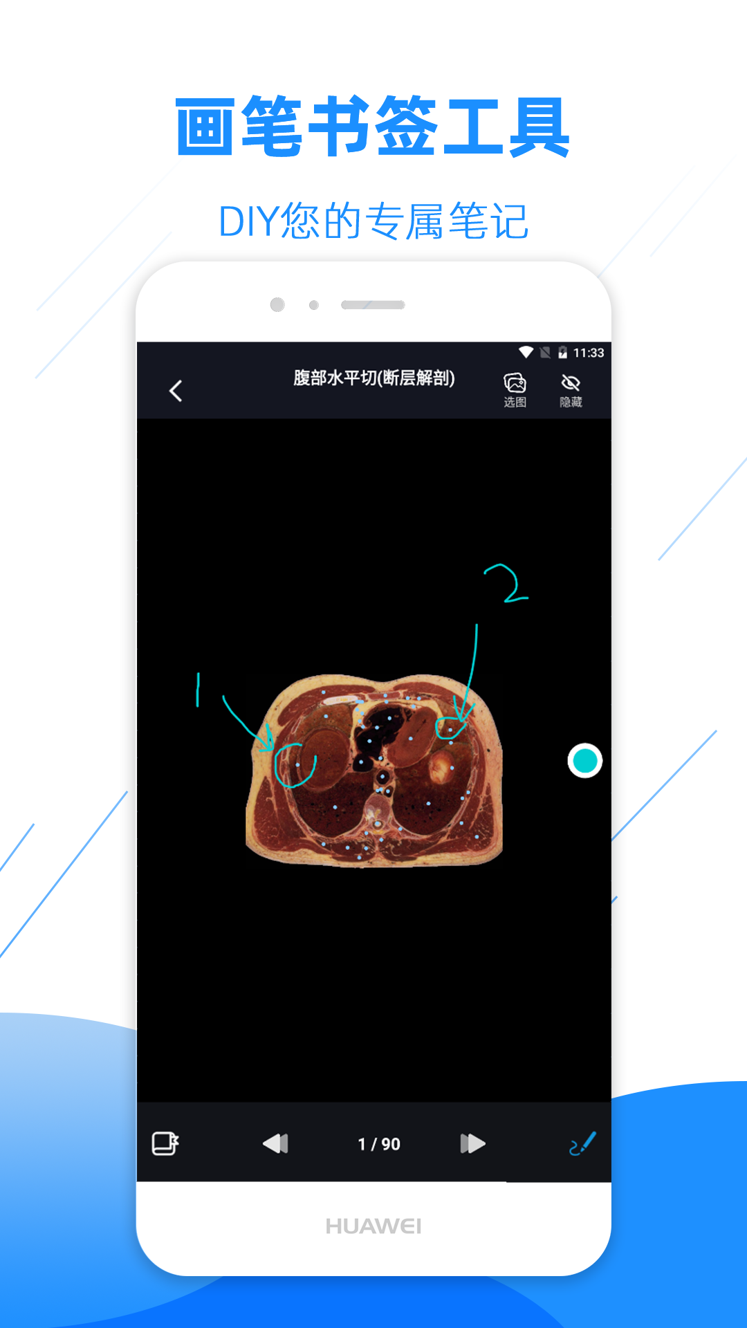 影像解剖图谱 V3.6.0 安卓版截图5