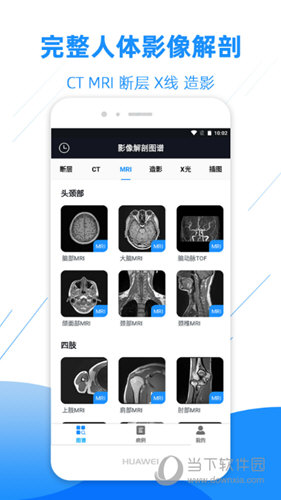 影像解剖图谱