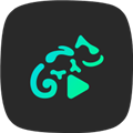 Stellio Player pro(蜥蜴播放器) V6.3.4 安卓破解版