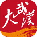 大武汉客户端 V7.0.4 安卓官方版
