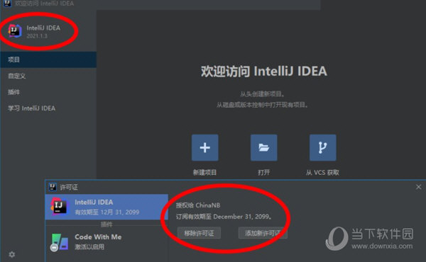IntelliJ IDEA汉化插件