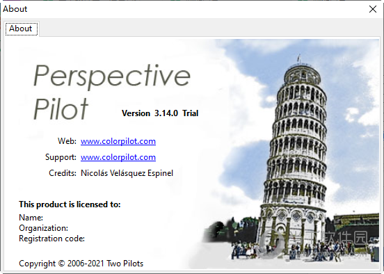 Perspective Pilot