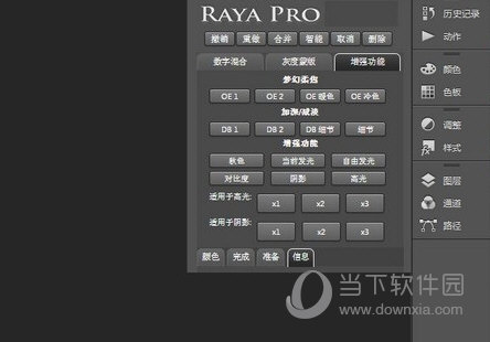 raya pro中文版