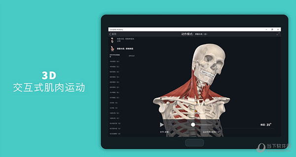 complete anatomy