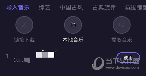 皮皮动画本地音乐