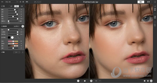 Portraiture