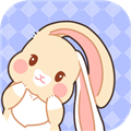 美化小组件 V1.1.5 安卓版