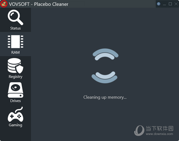 Placebo Cleaner