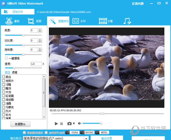 gilisoft video editor15