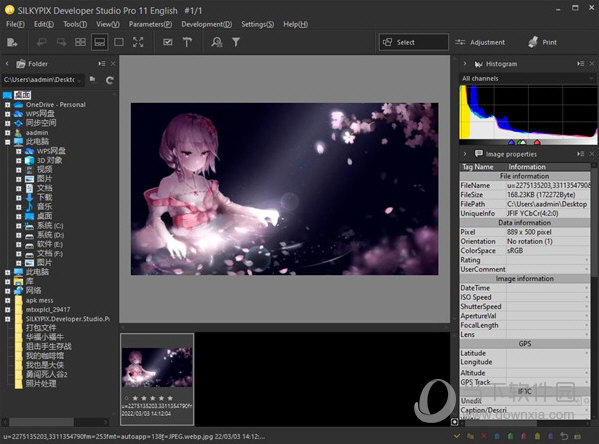 SILKYPIX Pro11