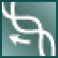 Primer软件 V6.24 官方最新版