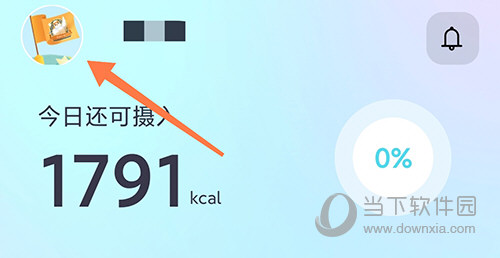 呼啦鸽头像