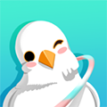 呼啦鸽 V2.2.02 安卓最新版
