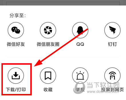 疯狂刷题