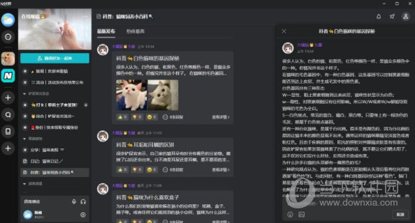 n世界