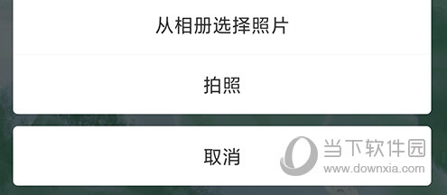 成长派分类