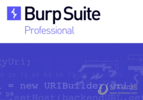 Burp Suite 2022רҵ