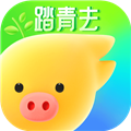 飞猪旅行手机客户端 V9.9.21.104 安卓最新版