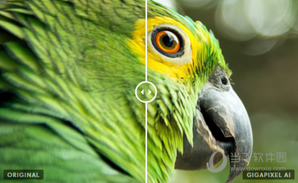 Topaz Gigapixel AI