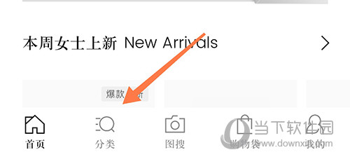 识季分类