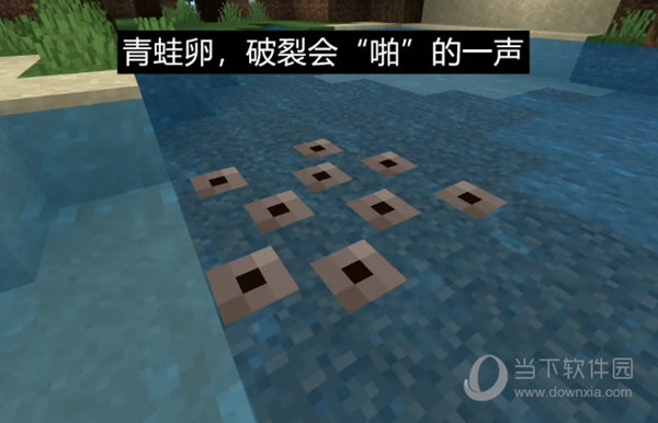 我的世界基岩版青蛙卵