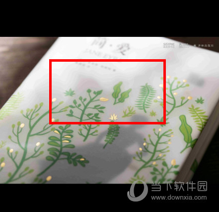 西西弗app