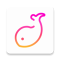 伴鱼音乐 V4.24.7 安卓版