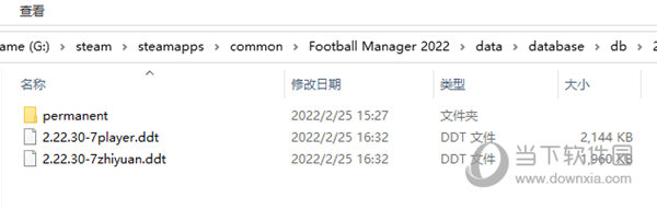 FM2022 DDT补丁