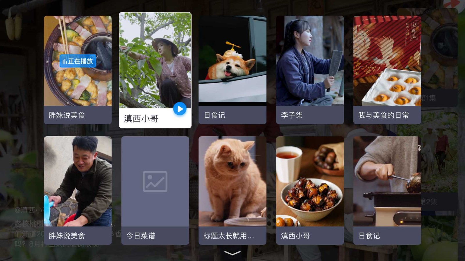 电视家最新vip破解版 V3.10.19 安卓去广告会员版截图1