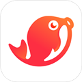 江团 V1.3.6 安卓版