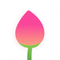 憨憨时间管理 V4.0.6 安卓版