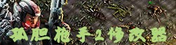 孤胆枪手2修改器