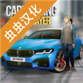 多人停车联机版汉化(虫虫助手汉化组)破解版 V4.8.6.9 安卓版