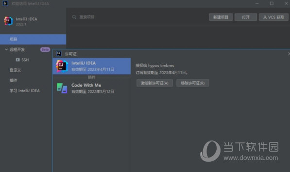 idea2022汉化补丁