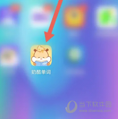 奶酪单词APP
