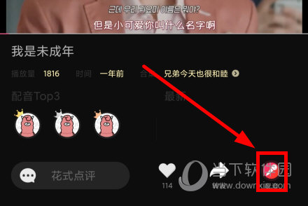 羊驼韩语