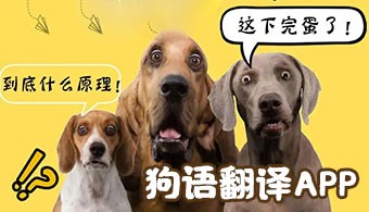 狗语翻译app