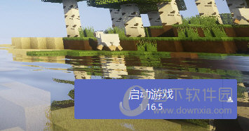 运行我的世界1.16.5